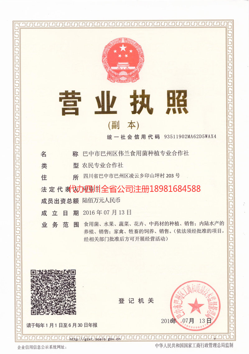 仪征仪征伟兰食用菌种植专业合作社